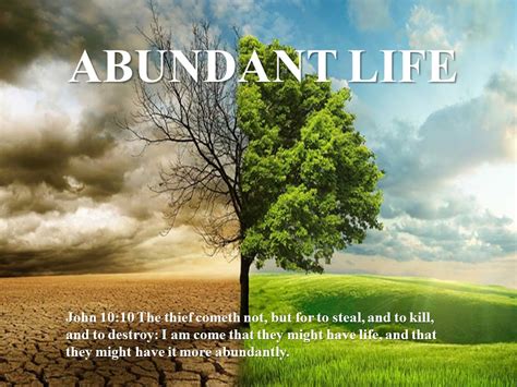 abundant life dreams|Videos analysis reports on Abundant Life Dreams